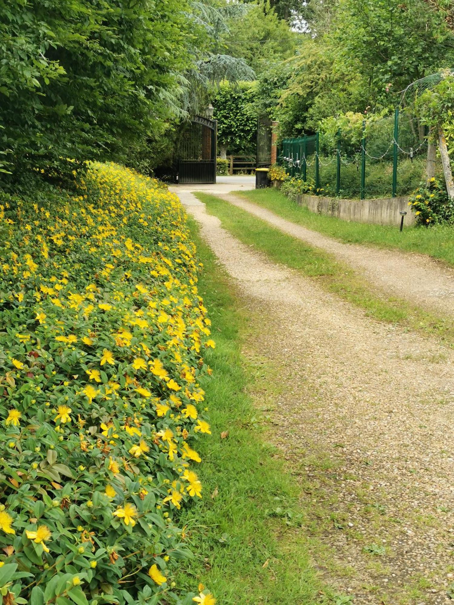 Domaine De Tardais, Ideal Famille Avec Piscine Et Nombreux Loisirs 瑟农什 外观 照片